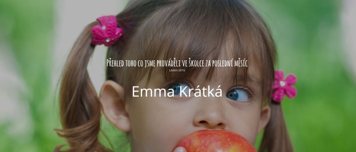 Prehled o diteti